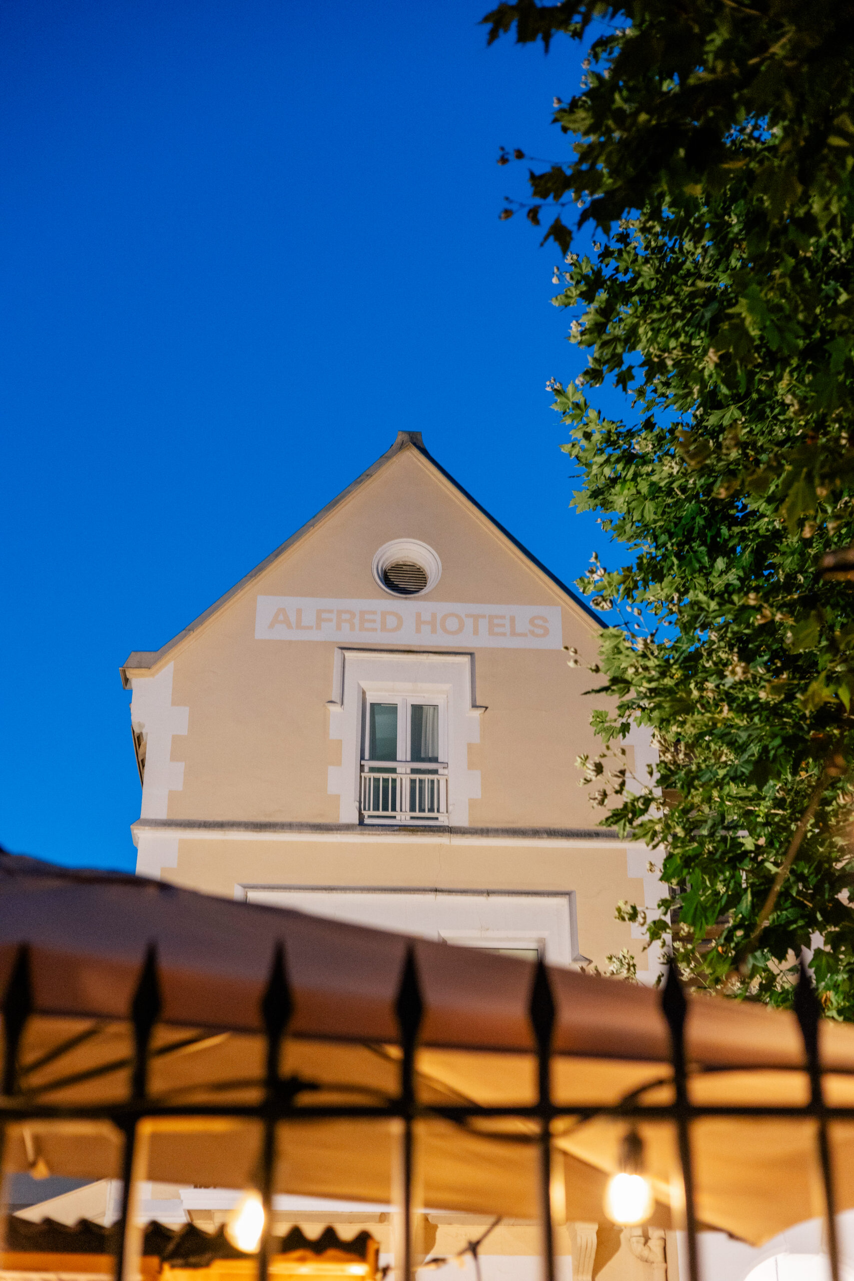 Guirlandes sous les platanes